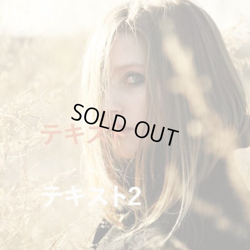 画像3: カートステップ改良1 (3)