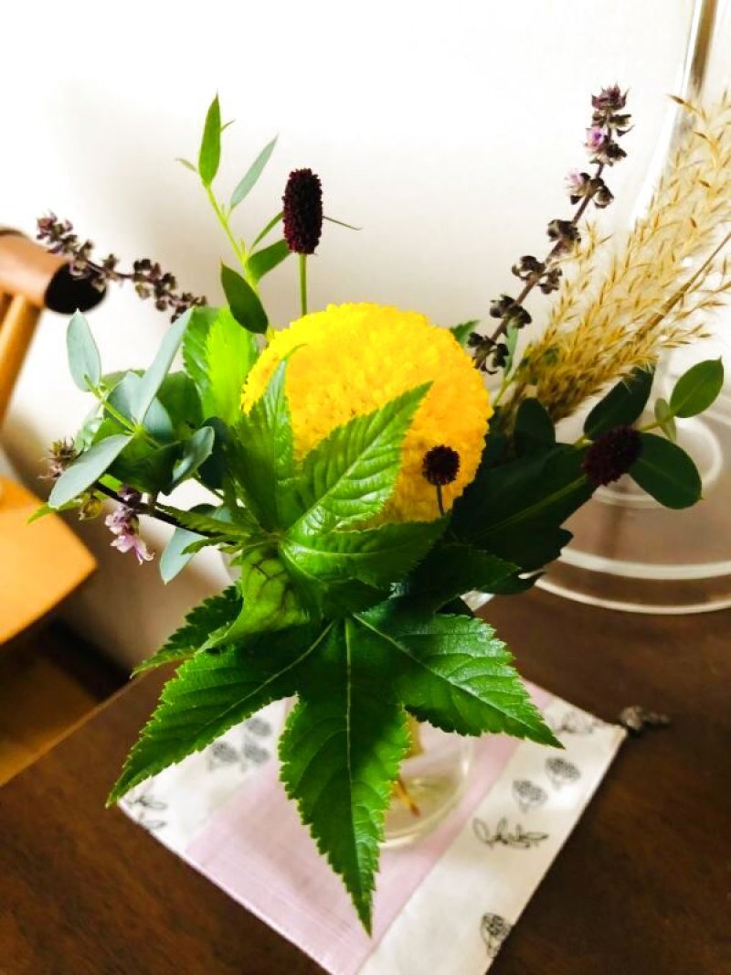 画像1: バリエーションごとに画像を設定する3 (1)