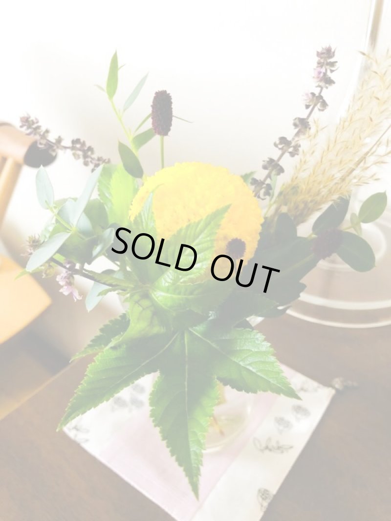 画像1: 受注検索改良1 (1)