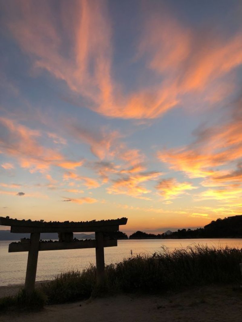 画像13: 関連商品がある12 (13)